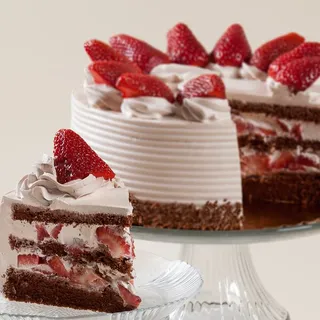 Chocolate Mousse Cake