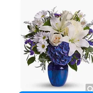 This is what I purchased based on their website