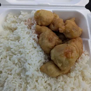 food, curry