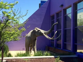 Children's Discovery Museum