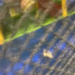 Blurry again but cupcake wrappers inside play structure