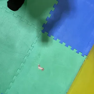 Candy wrappers. Plenty around the whole facility
