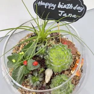 Terrarium gifts