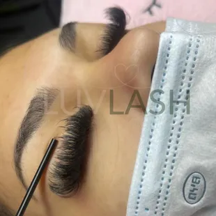 Volume lashes