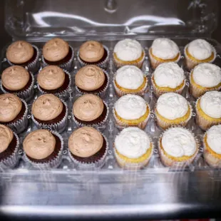 a tray of cupcakes
