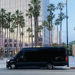 Lux Limo SF is Party on Da Wheels!!