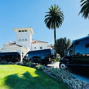 Lux Limo Staging @ Wedding Venue with Sprinter Limos and Party Buses!!