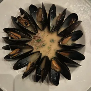 Mussels