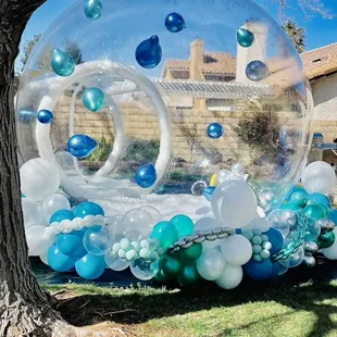Bubble House