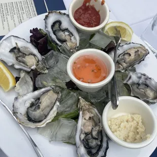 Oysters