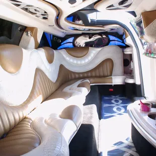 The only stretch Mercedes Limousine in Indiana! Luxury By DB