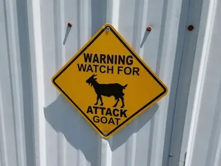 Thieneman's-Creativity grows here