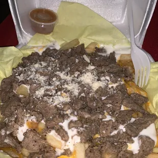 Carne Asada Fries (asked for no guac)