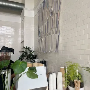 a coffee shop counter with a variety of potted plants