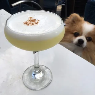 Pisco Sour: Capurro pisco, acholado, passion fruit, agave lime, egg white, angostura | $12