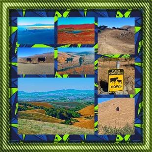 Montage of images from Lynch Canyon Open Space