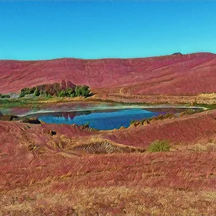 Lynch Canyon Open Space
