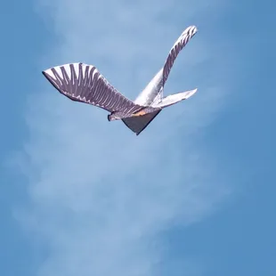 Beautiful Kite like an Eagle
