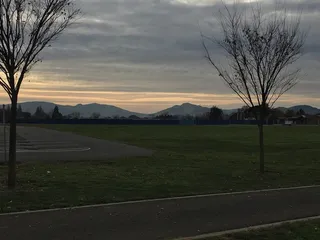 Linear Park