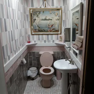 a bathroom with a toilet and sink