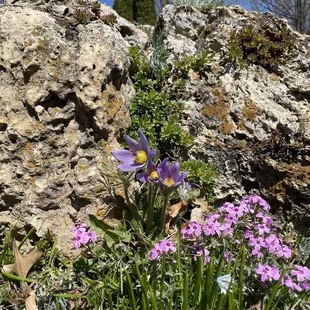 In the peace garden area.