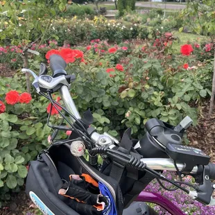 BEST way to get here is to RIDE YOUR BIKE!