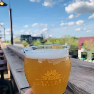 Minneapolis skyline in the distance