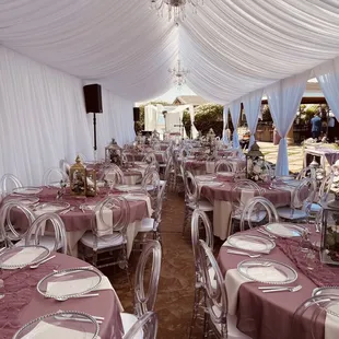 Canopy, Drape, Lighting