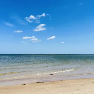 Vitamin Sea