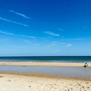 Tide pool