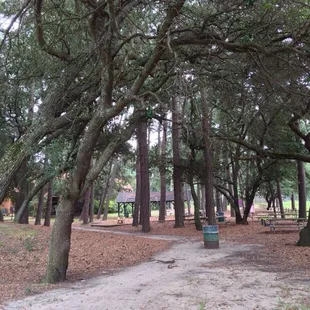 Had Burgers &amp; Dogs fm Uncle Al's here