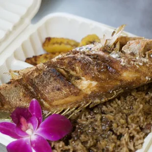 Naked fried fish snapper