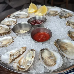 Oysters