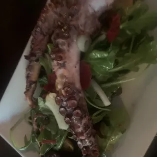 Grilled Octopus*