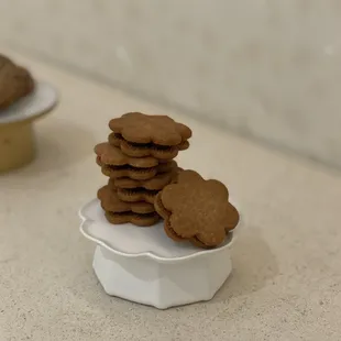 Experimental Shortbread