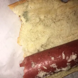 MOLD ON MY BREAD