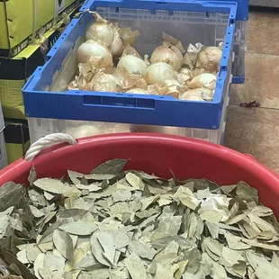 Fresh for the grill and catering (maybe able to purchase?)