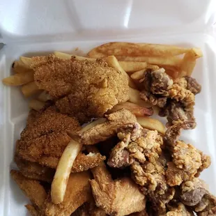 Chicken Wings, Gizzards,  Catfish and fries!!!! Amazing