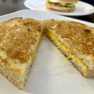 Grilled Cheese posing a pull