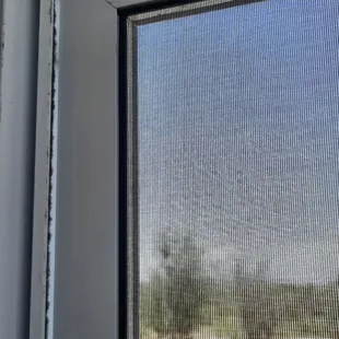 Doors out of plumb, not seating against the door stops