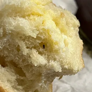 Bug baked into bread