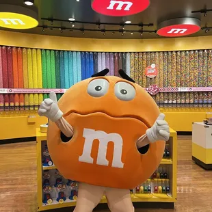 1/11/24 FYI, Live Photo ops