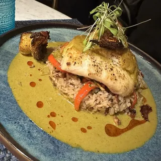 Fish of the Night