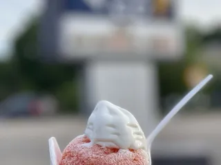 Sno To Go