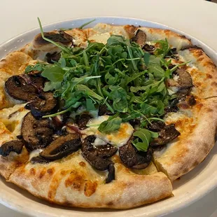 Mushroom pizza