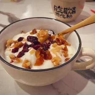 Homemade Yogurt