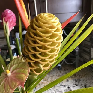 Honeycomb ginger