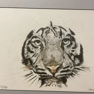 Art on display