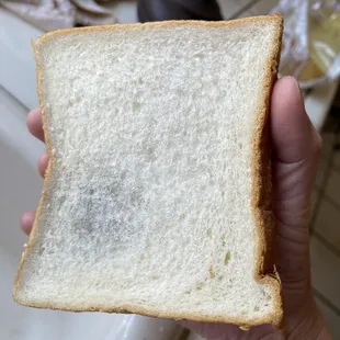 All the sudden I found mold on the bread. This piece is the middle of the loaf.