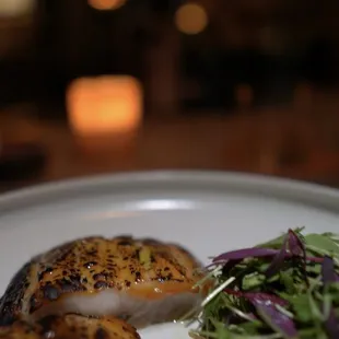 Butterfish